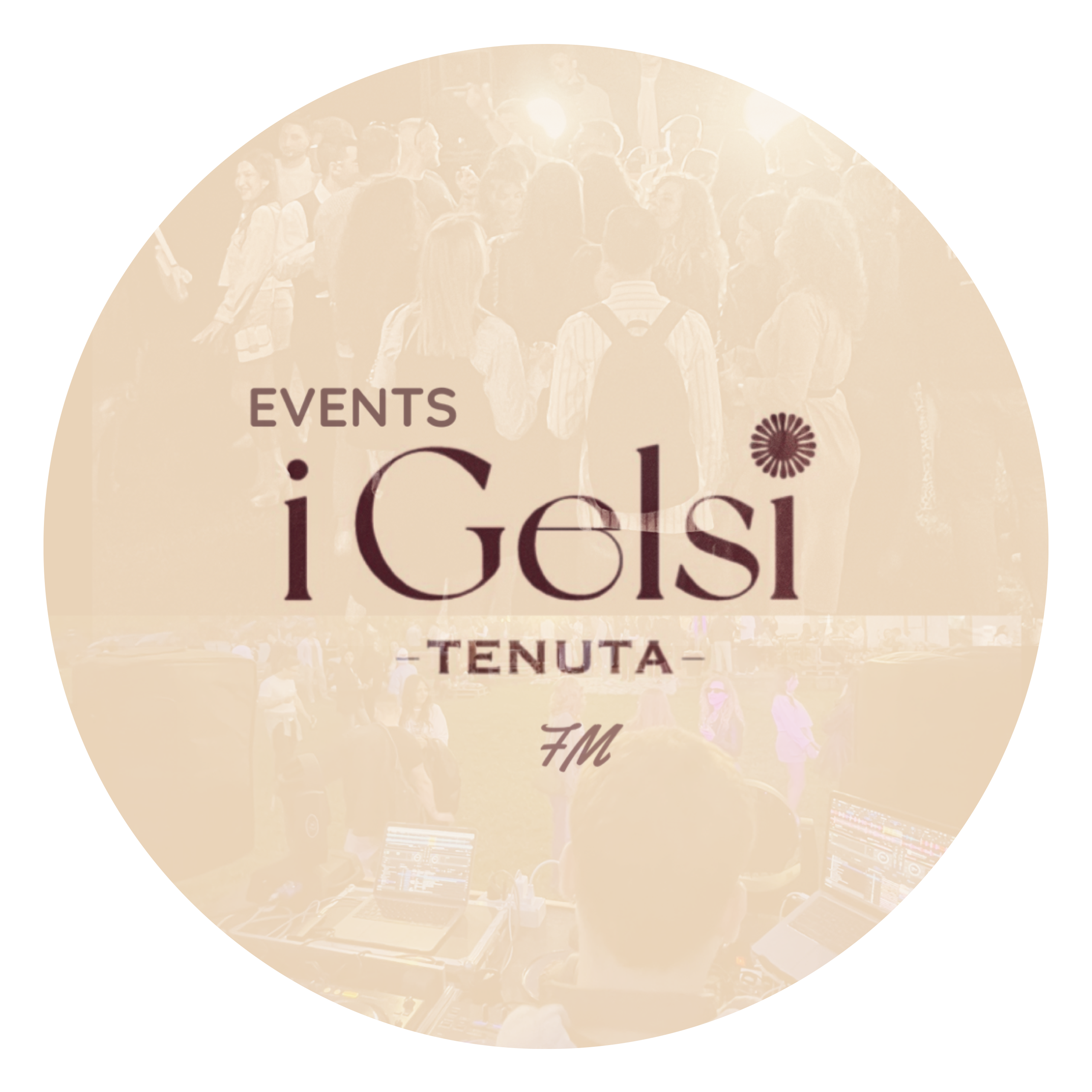 Gelsi Logo